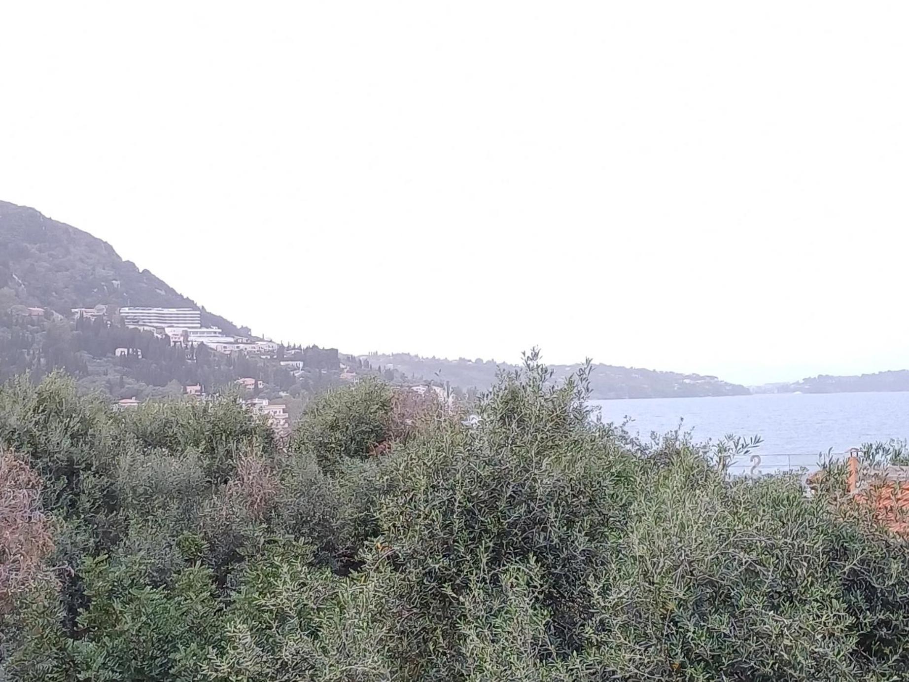 Flora Studios Corfu - Adults Only Беніцес Номер фото